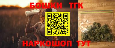 амф Камышлов