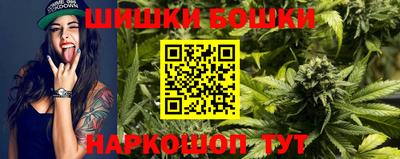 амф Камышлов