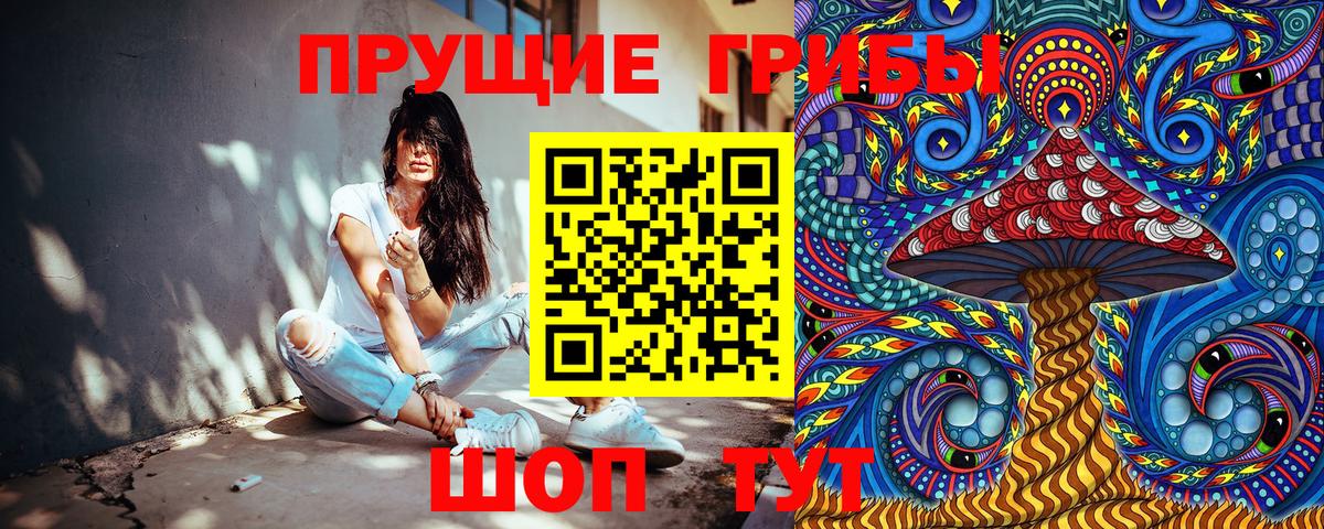 купить наркотики сайты  Псилоцибиновые грибы Psilocybe  Вход с VPN  Курчалой 